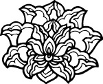花边01
