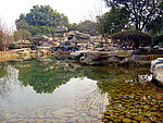 景观