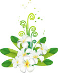 漂亮的花朵