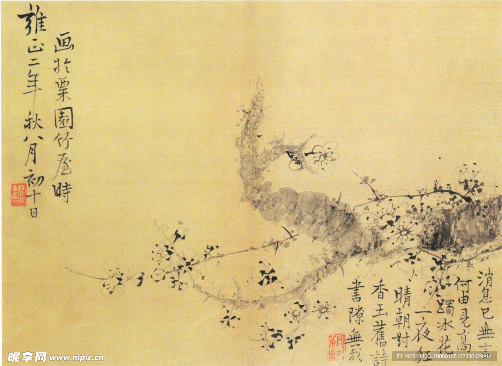 花卉图B