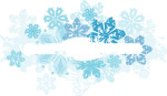 冬季花纹banner