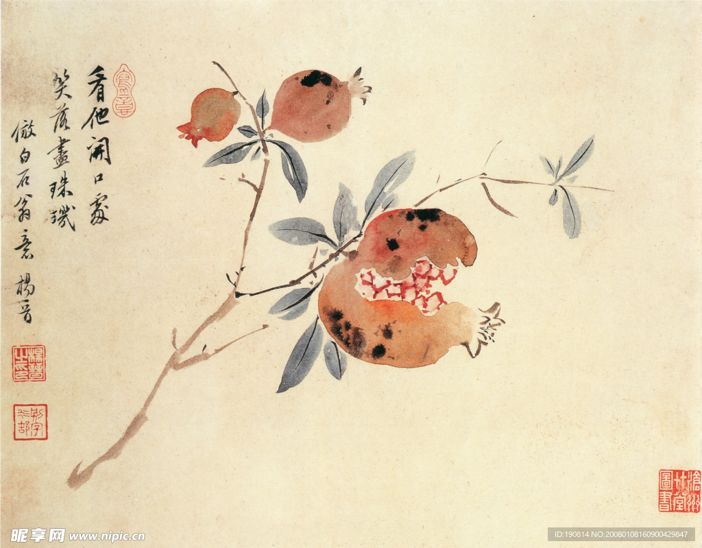 花卉图A