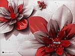 花卉