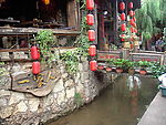 丽江5