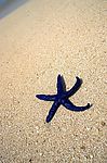 沙滩