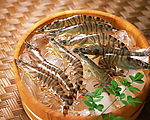 海鲜
