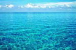 大海