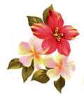 矢量花卉花边花纹底纹