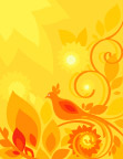精美花纹