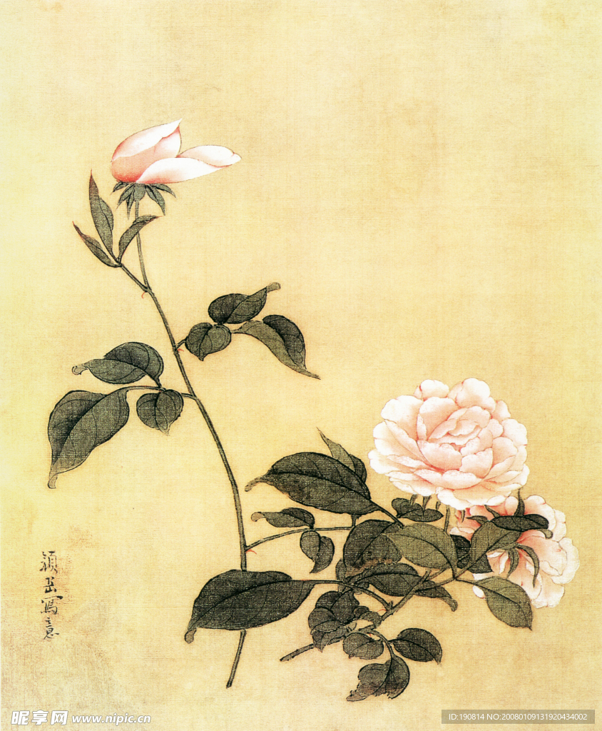花鸟图B
