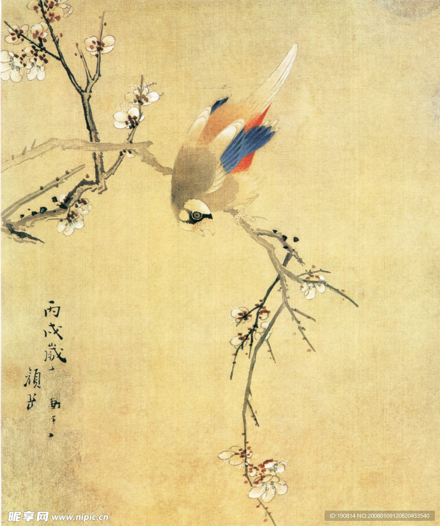 花鸟图A