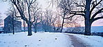 阳光雪景