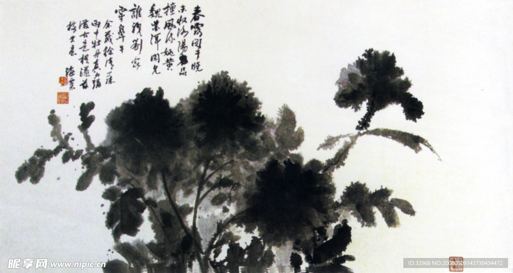 墨牡丹