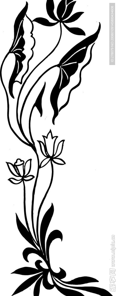 花纹花边