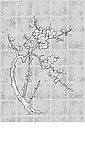 日本风格矢量植物以及部分动物素材