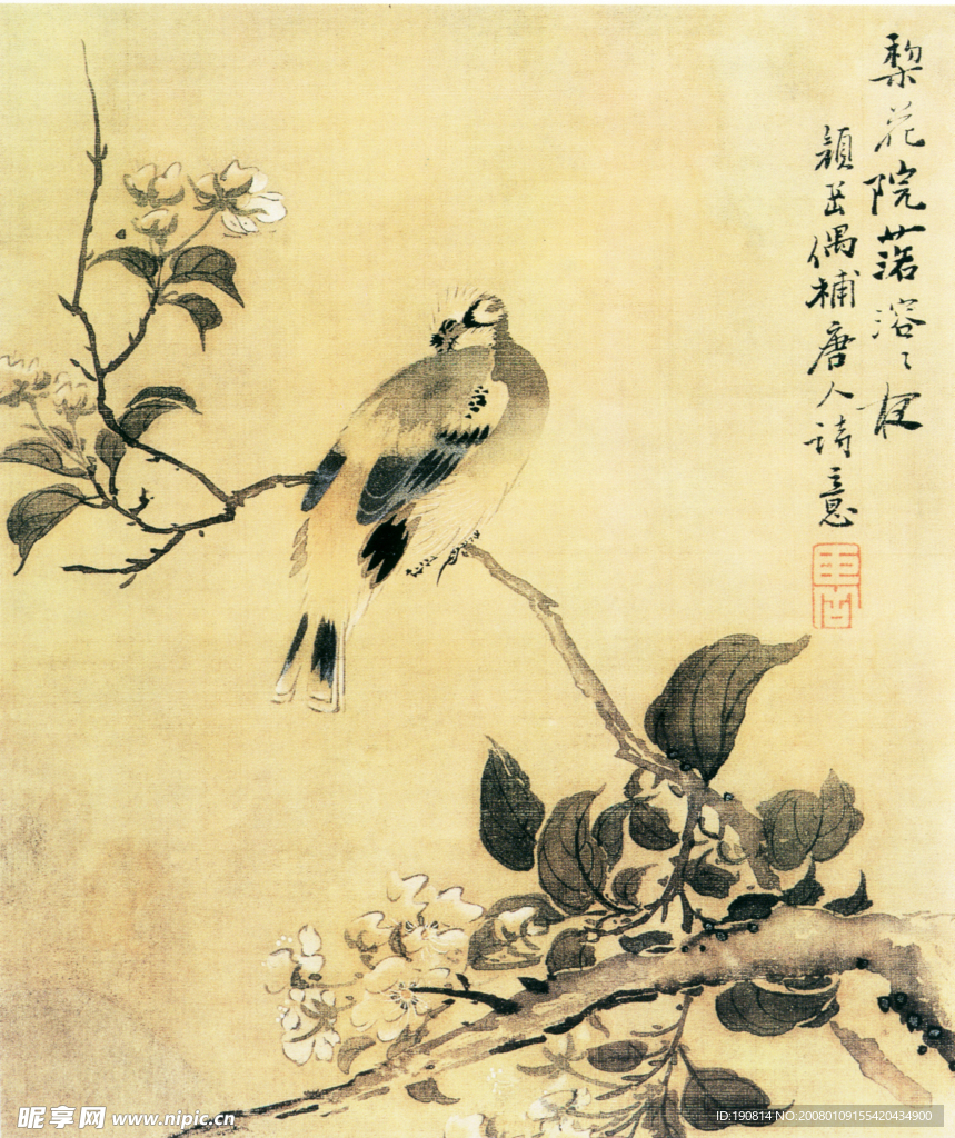 花鸟图C