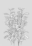 日本风格矢量植物以及部分动物素材