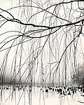 雪柳