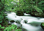 山水风景9