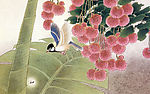 手绘花鸟