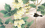 花鸟画