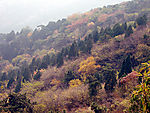 香山