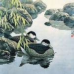 春江水暖(野鸭)