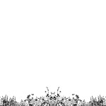 花边