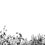 psd-花边