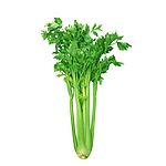 蔬菜