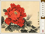 牡丹(赤霞)