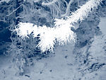 冰雪