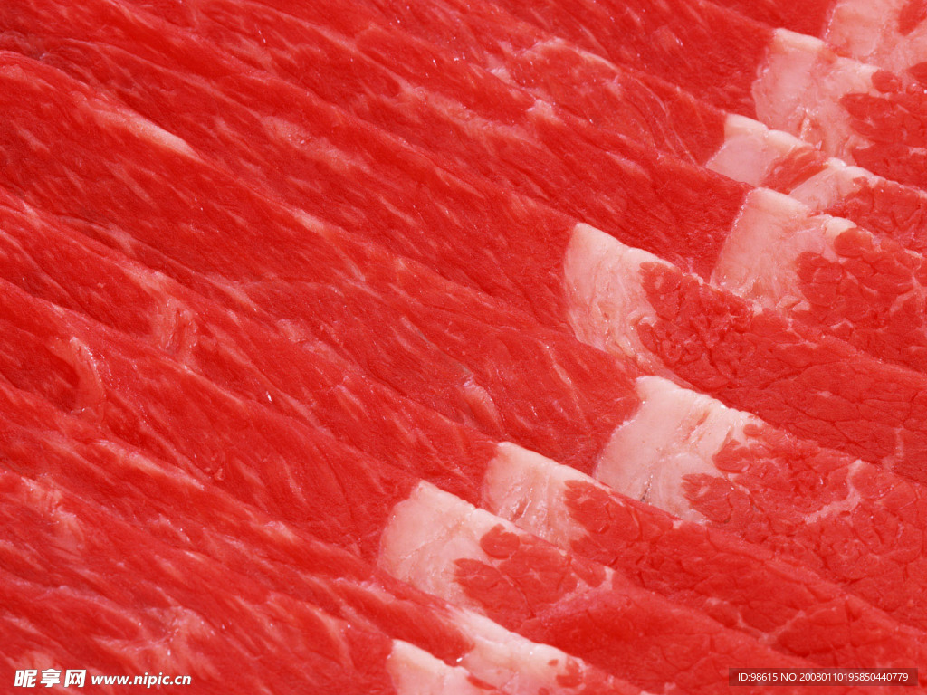 鲜肉