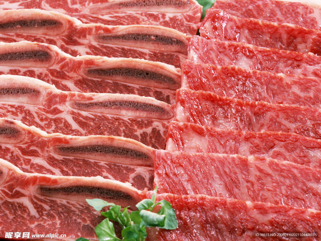 鲜肉