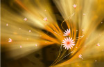 psd花纹