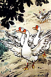 鹅闹