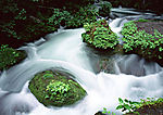 山水