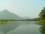 风景