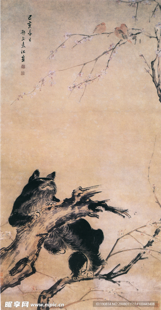 猫雀图