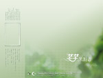 婚纱模版