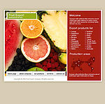 Template Monster系列(6338)