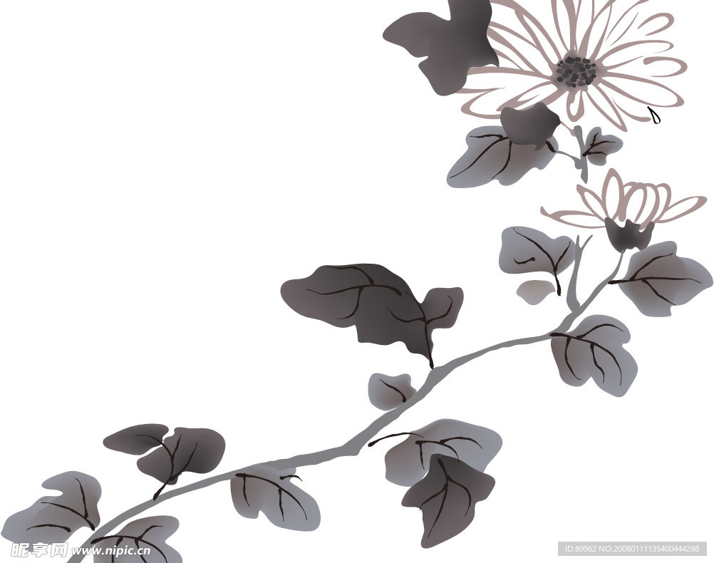 菊花