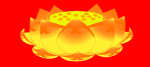 金莲花