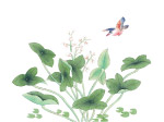 国画16
