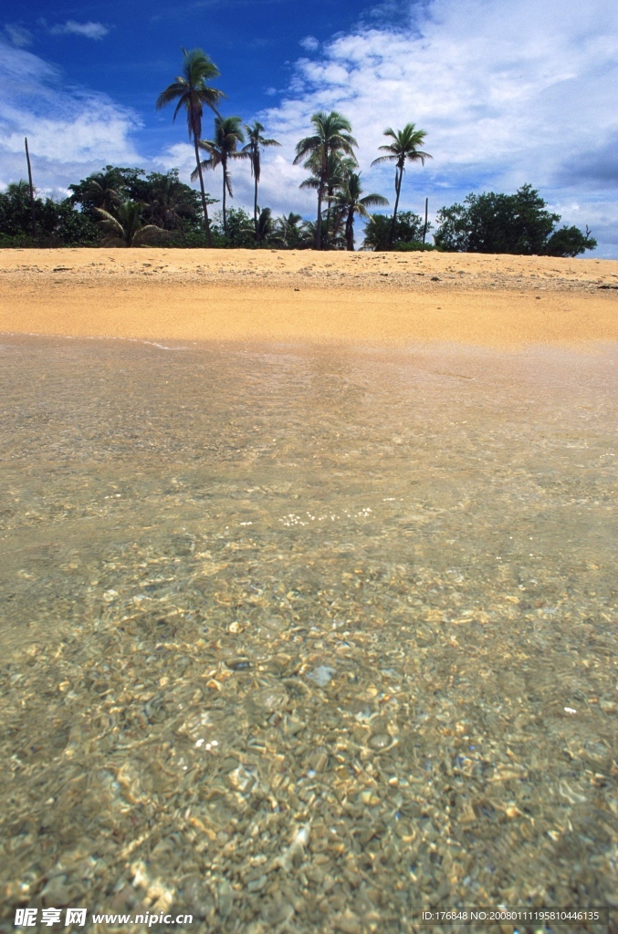 海岸
