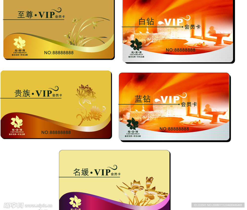 矢量 VIP 卡片