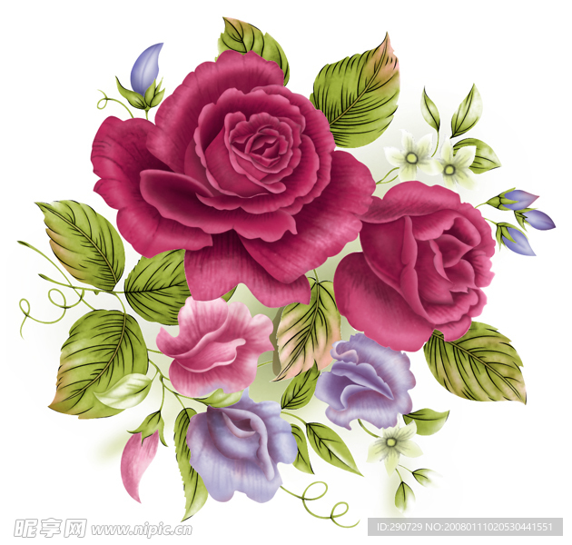 玫瑰朵花