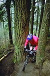 登山运动