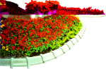 花园