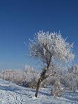 新疆奇台雪景